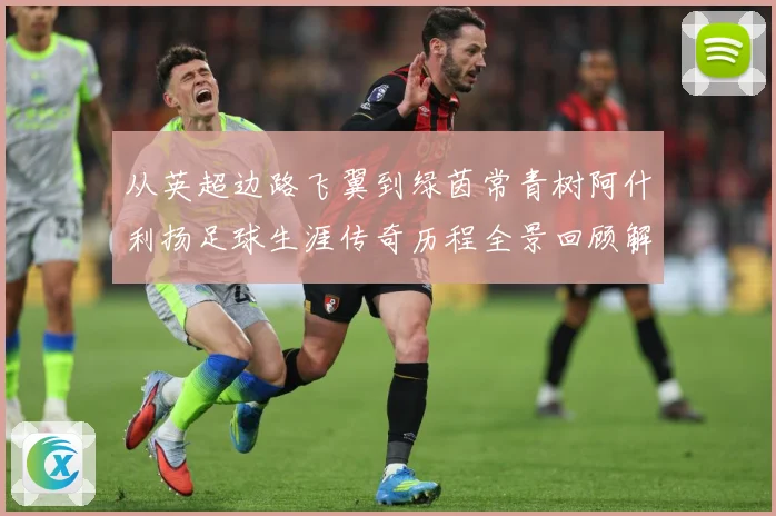 从英超边路飞翼到绿茵常青树阿什利扬足球生涯传奇历程全景回顾解析-深度解析