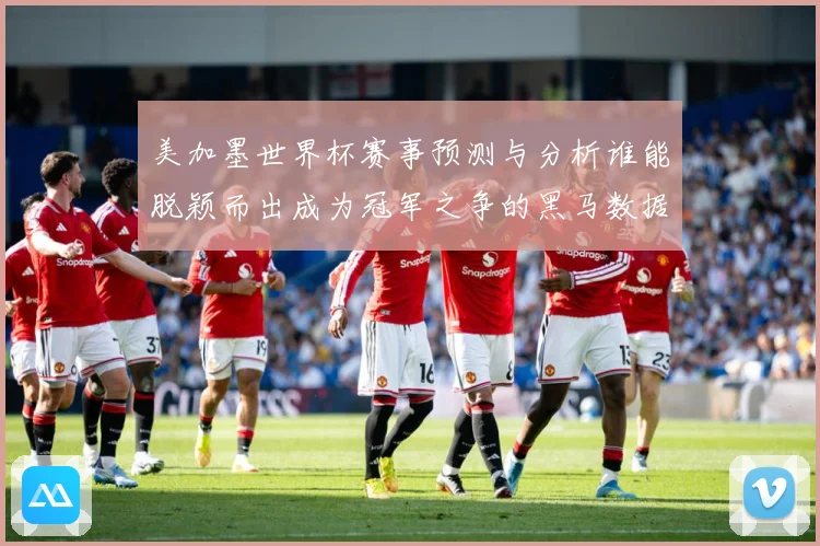 美加墨世界杯赛事预测与分析谁能脱颖而出成为冠军之争的黑马数据研判-深度解析