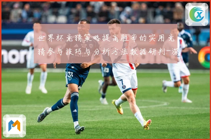 世界杯竞猜策略提高胜率的实用竞猜参与技巧与分析方法数据研判-深度解析