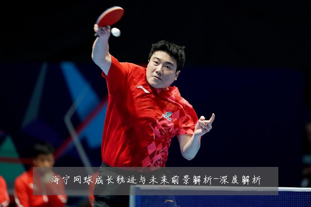 海宁网球成长轨迹与未来前景解析-深度解析