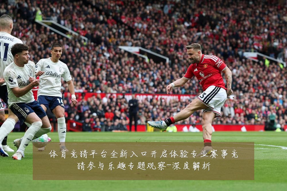 体育竞猜平台全新入口开启体验专业赛事竞猜参与乐趣专题观察-深度解析