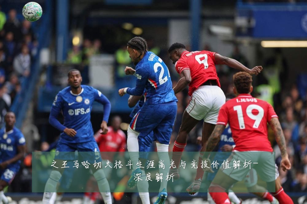 之王马哈切夫格斗生涯高光与竞技价值解析-深度解析